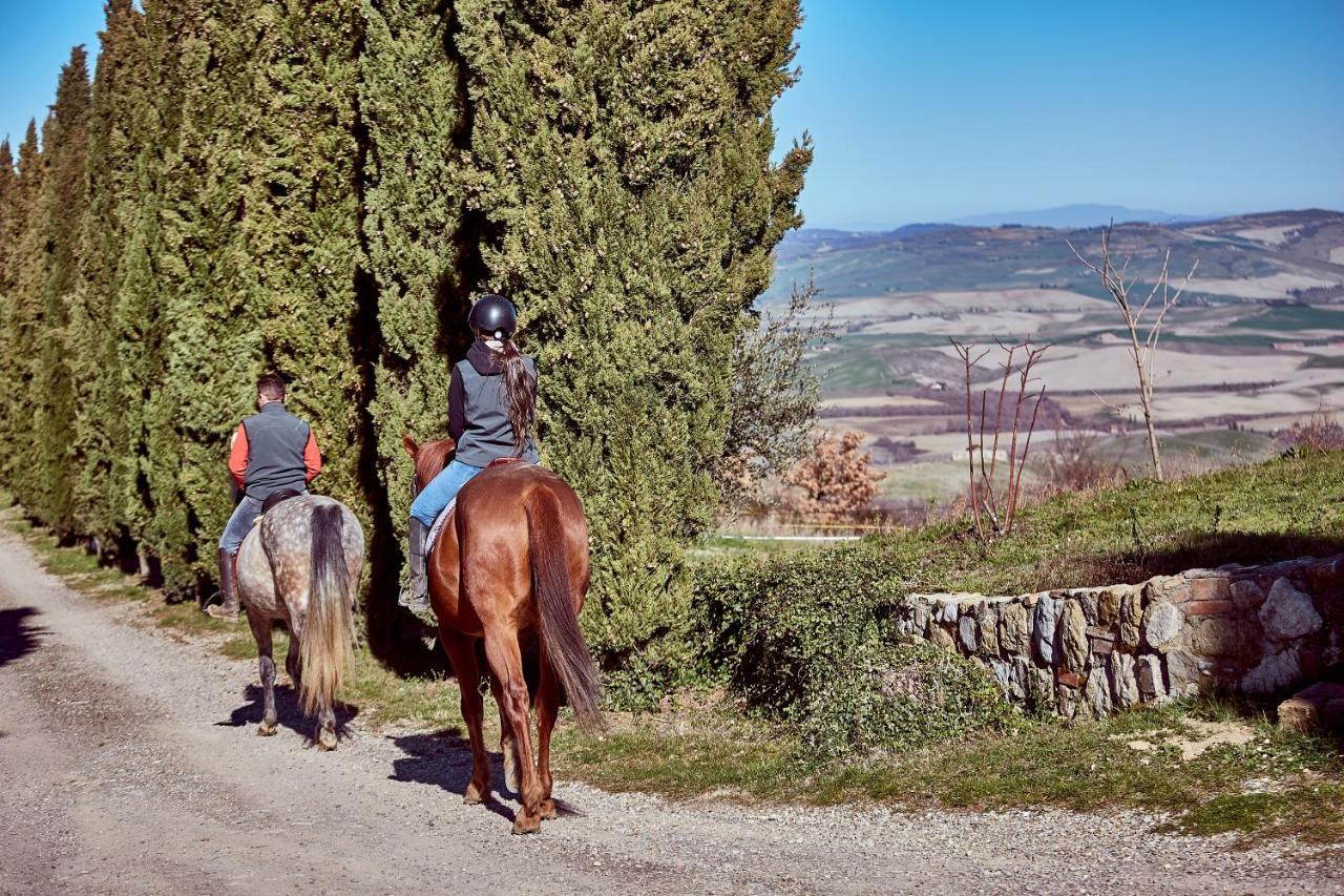 Az.Agr. Il Cavalleggero Campiglia dʼOrcia Exterior foto