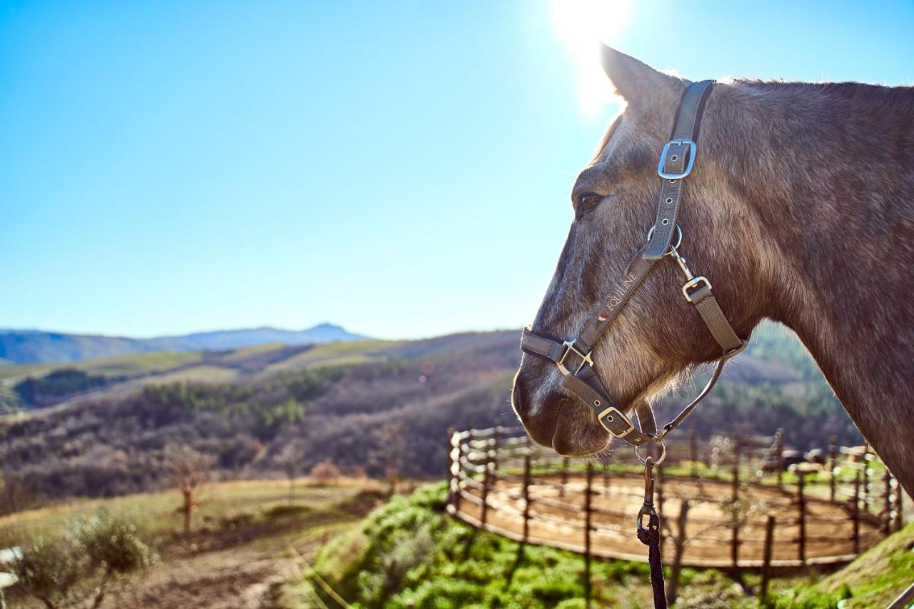 Az.Agr. Il Cavalleggero Campiglia dʼOrcia Exterior foto